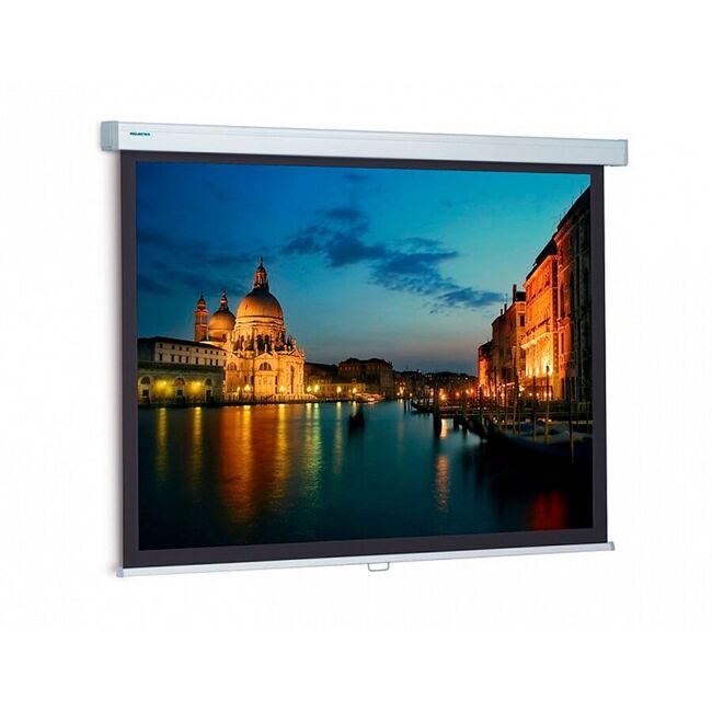 Экран Projecta ProScreen 160x160 см